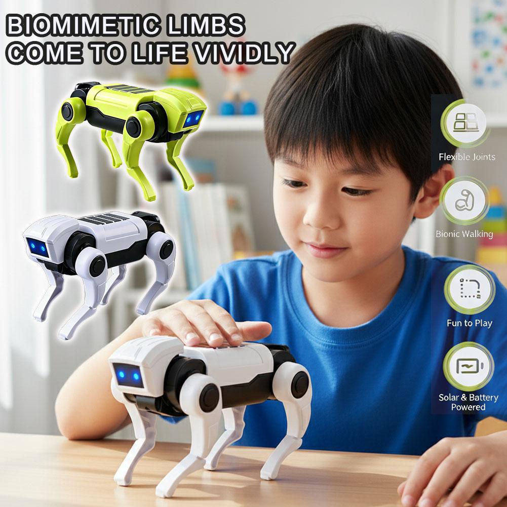 1/2 Pièces Robot RC Télécomman - Science Diy Model avis et prix