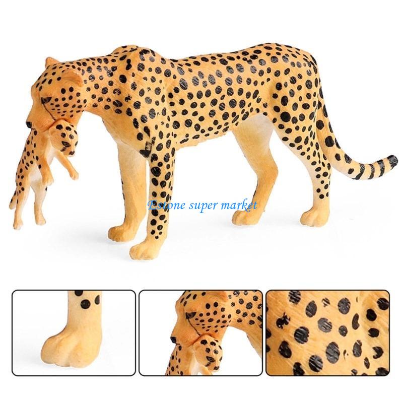 Figurine guépard détaillée 090 - Science Exhibition Models avis et prix